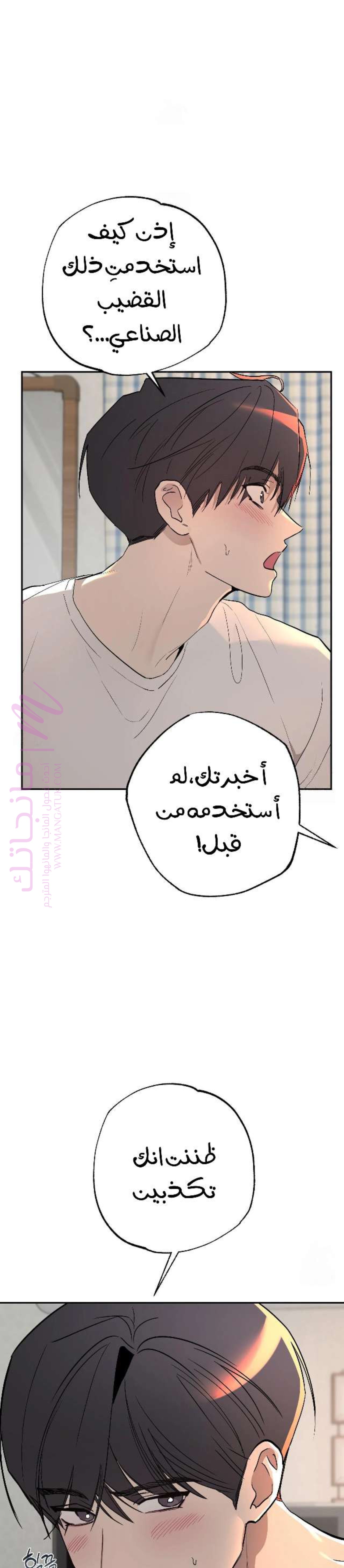 الصفحة 19