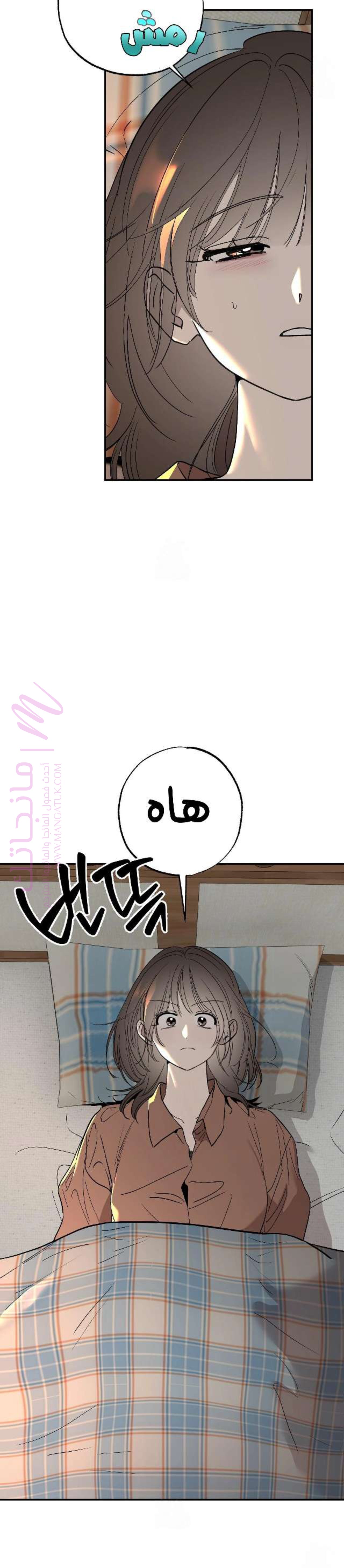 الصفحة 2