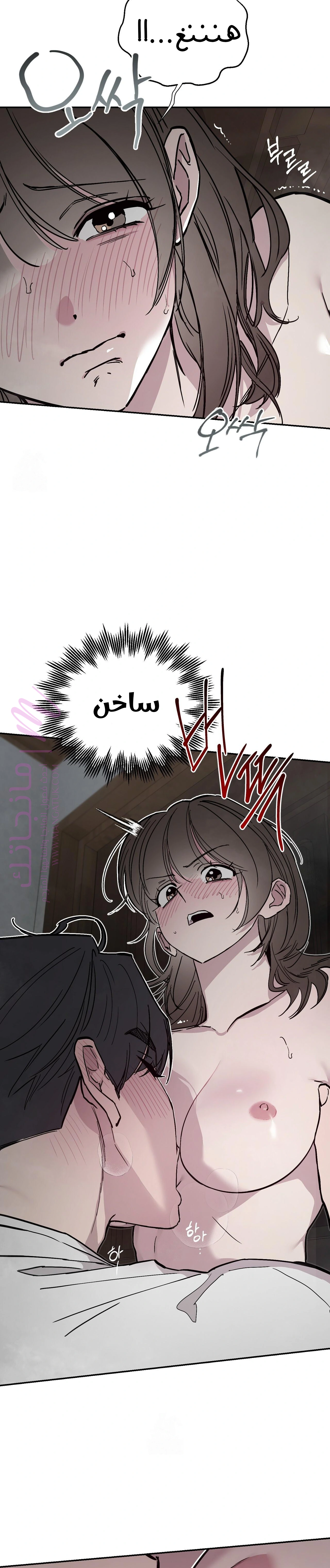 الصفحة 2