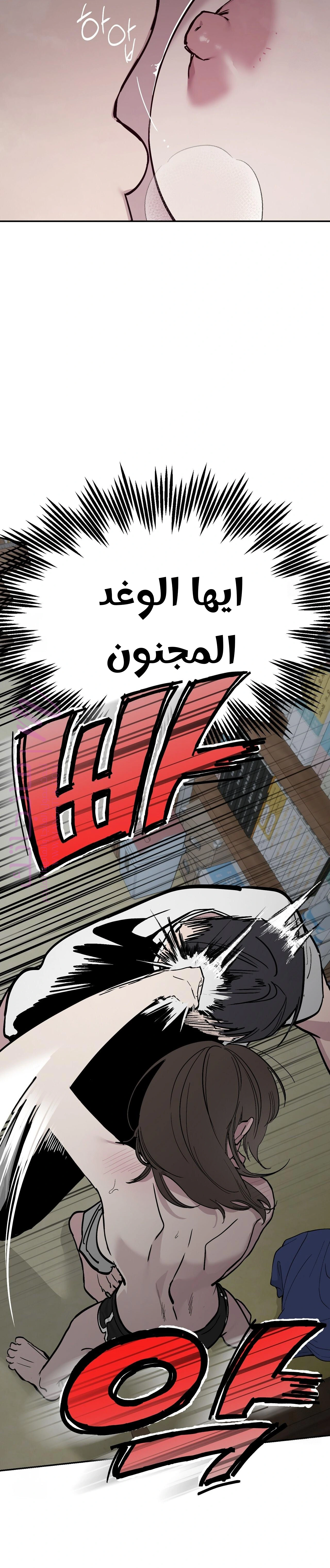 الصفحة 3