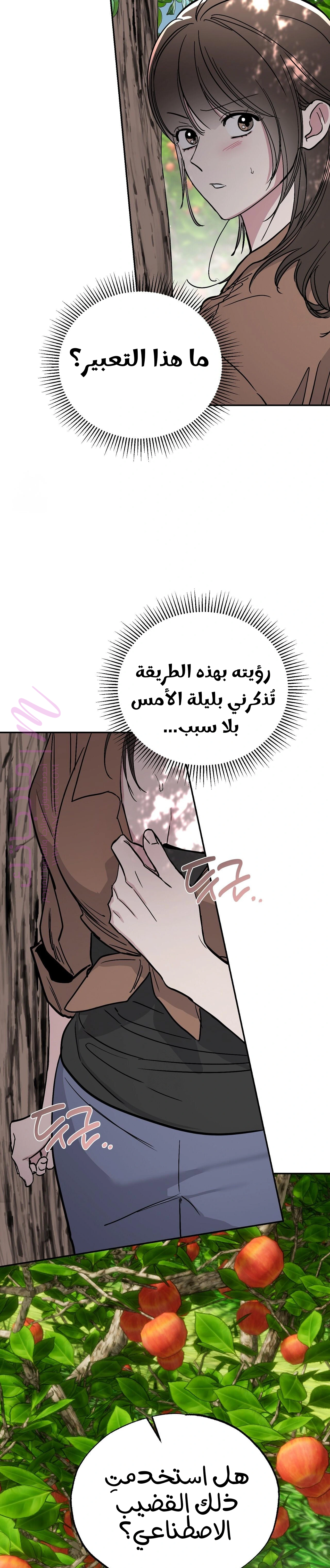 الصفحة 31