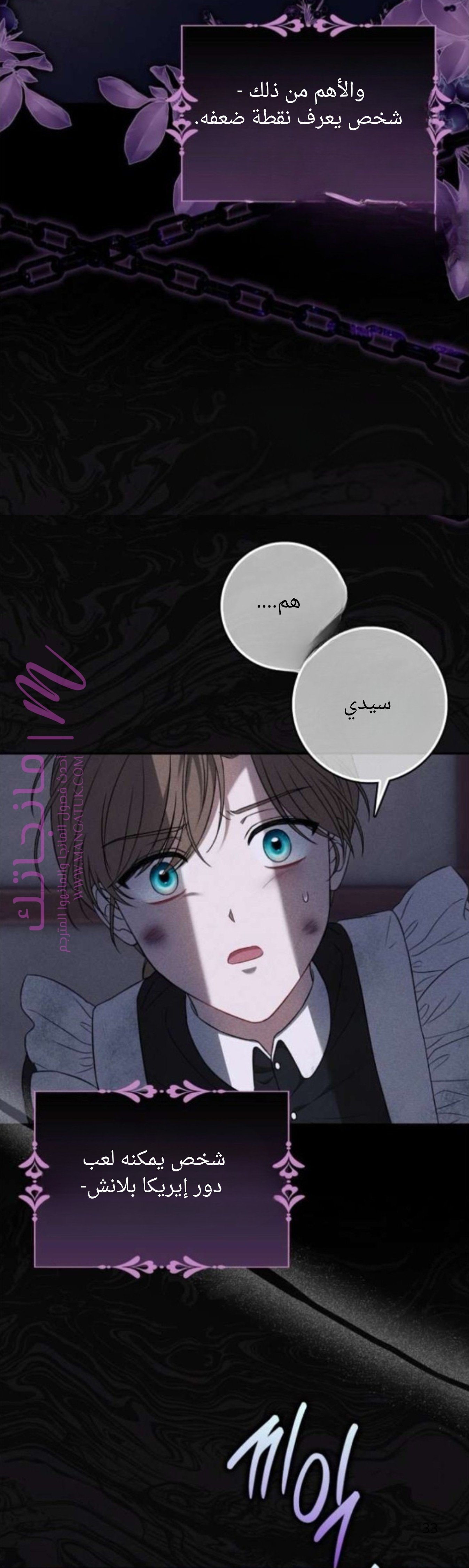 الصفحة 33