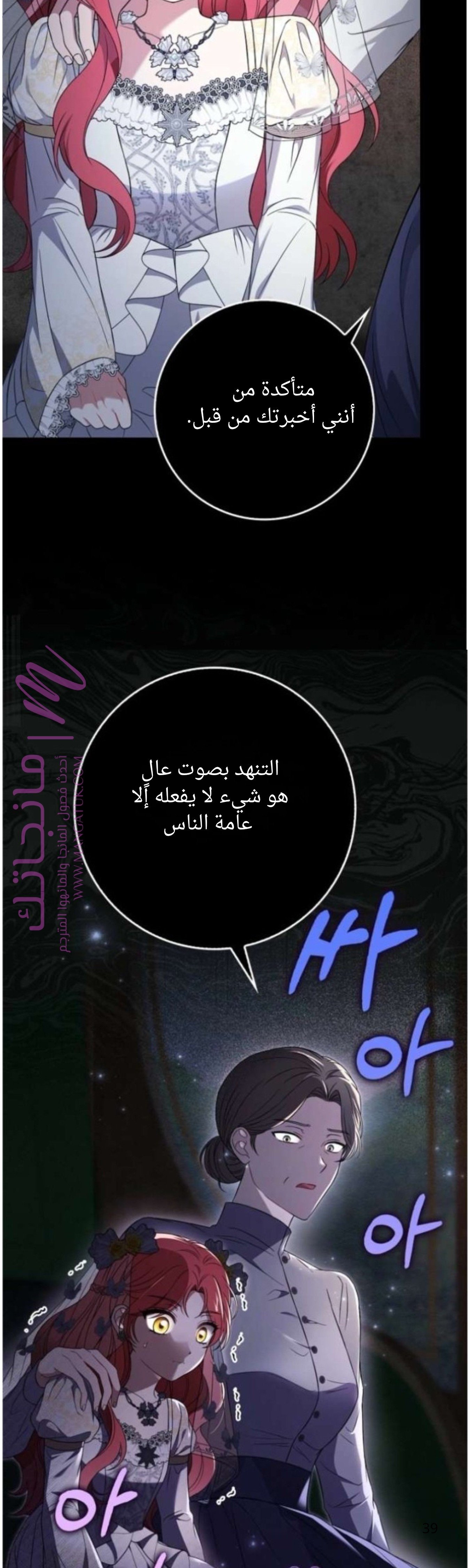 الصفحة 39