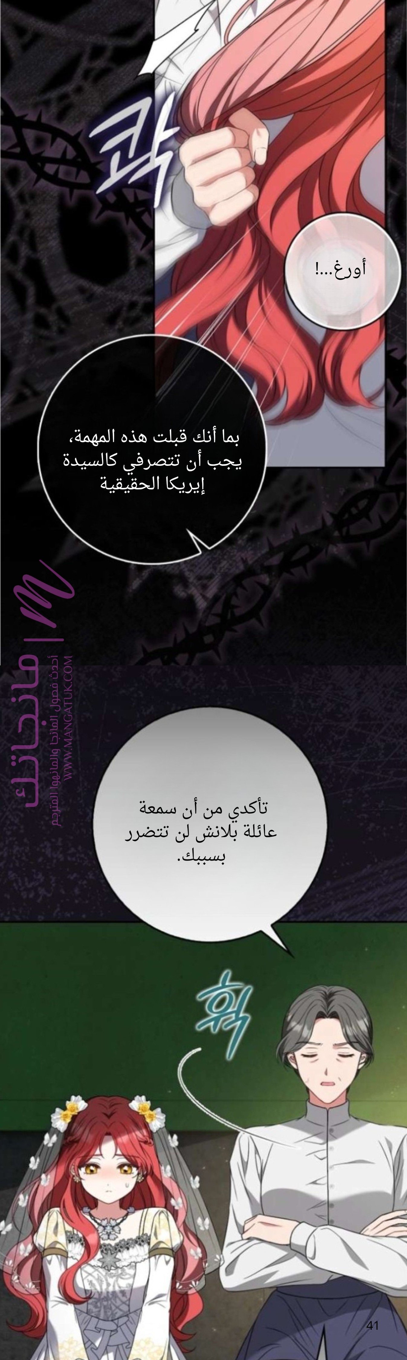 الصفحة 41
