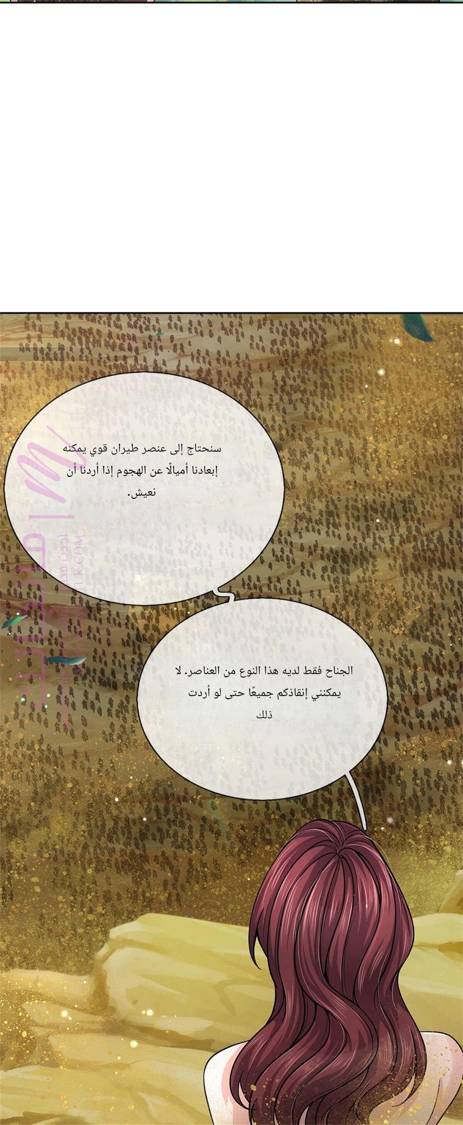 الصفحة 22