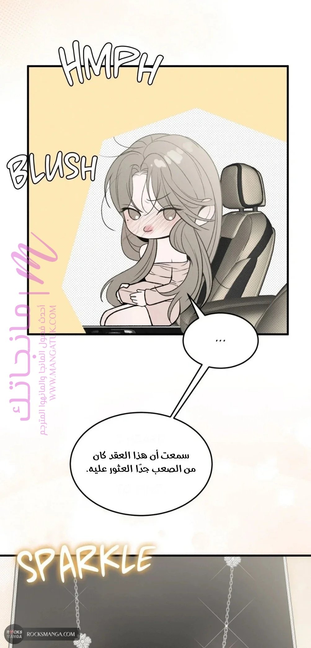 الصفحة 29
