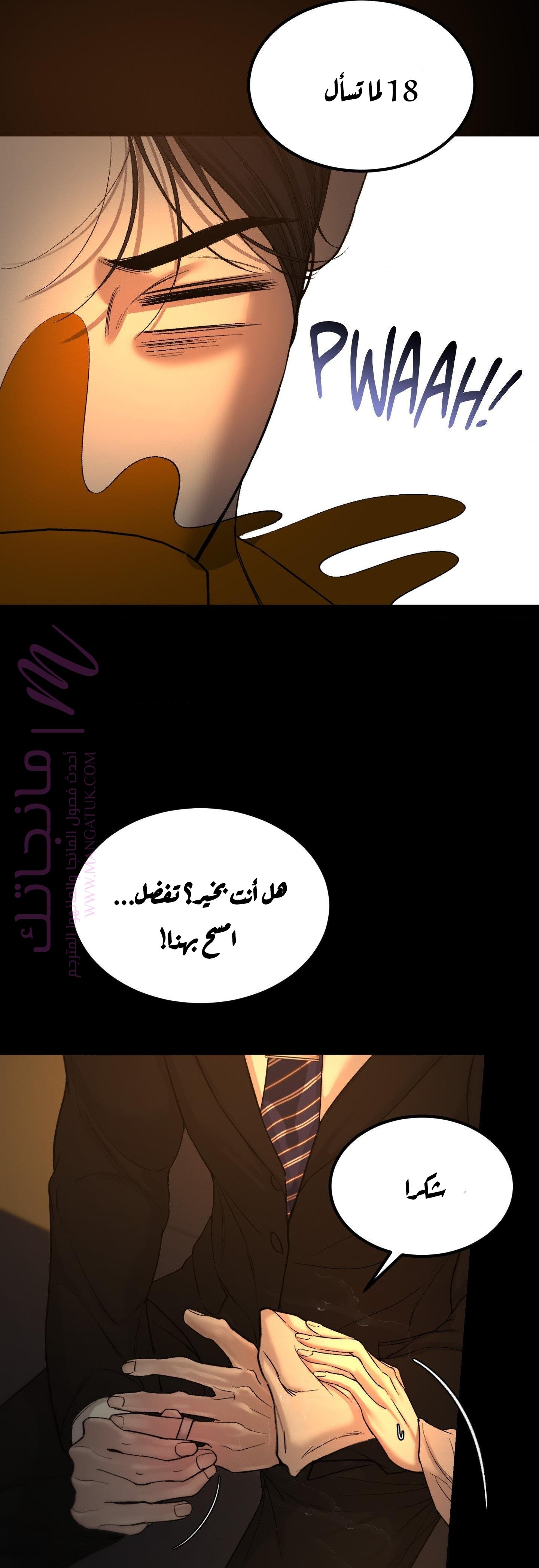 الصفحة 27