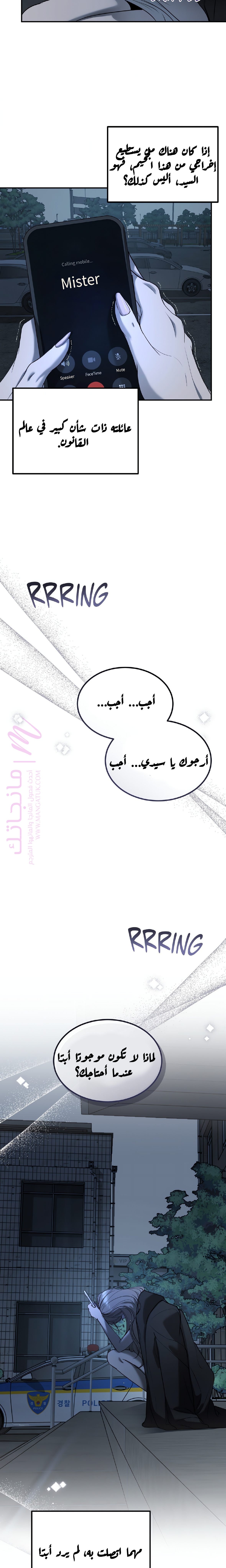 الصفحة 17