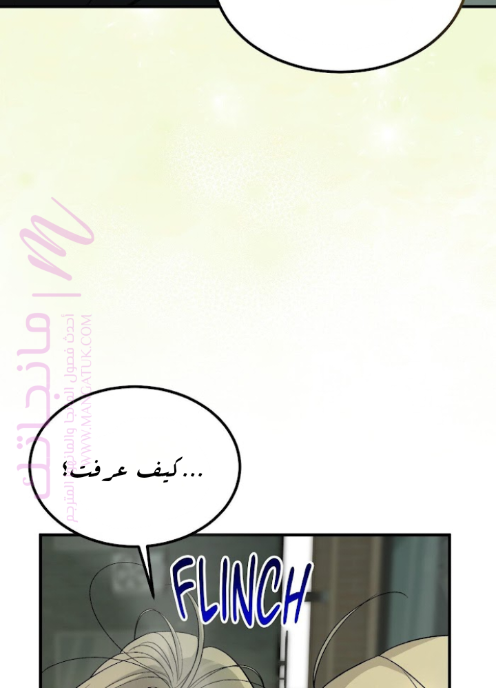 الصفحة 20