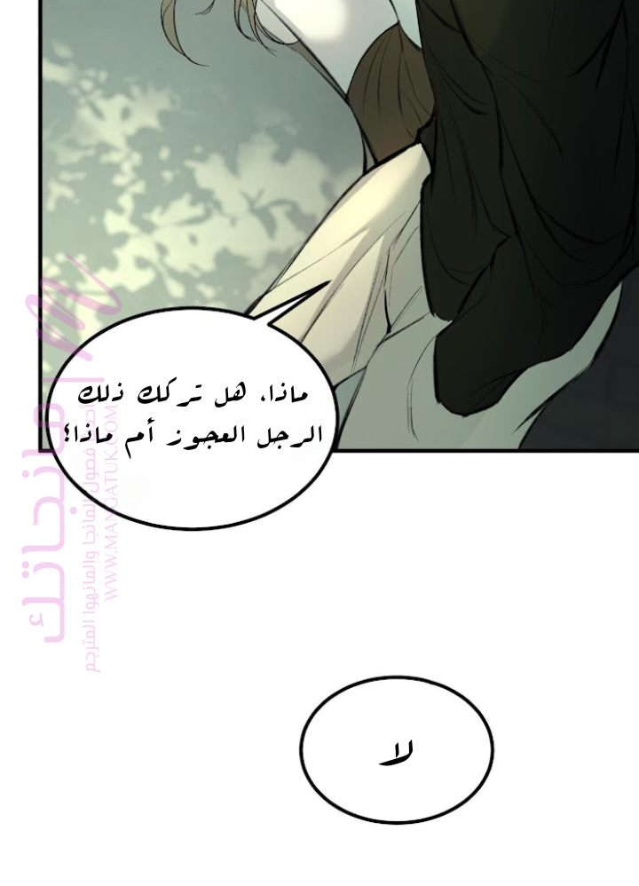 الصفحة 23