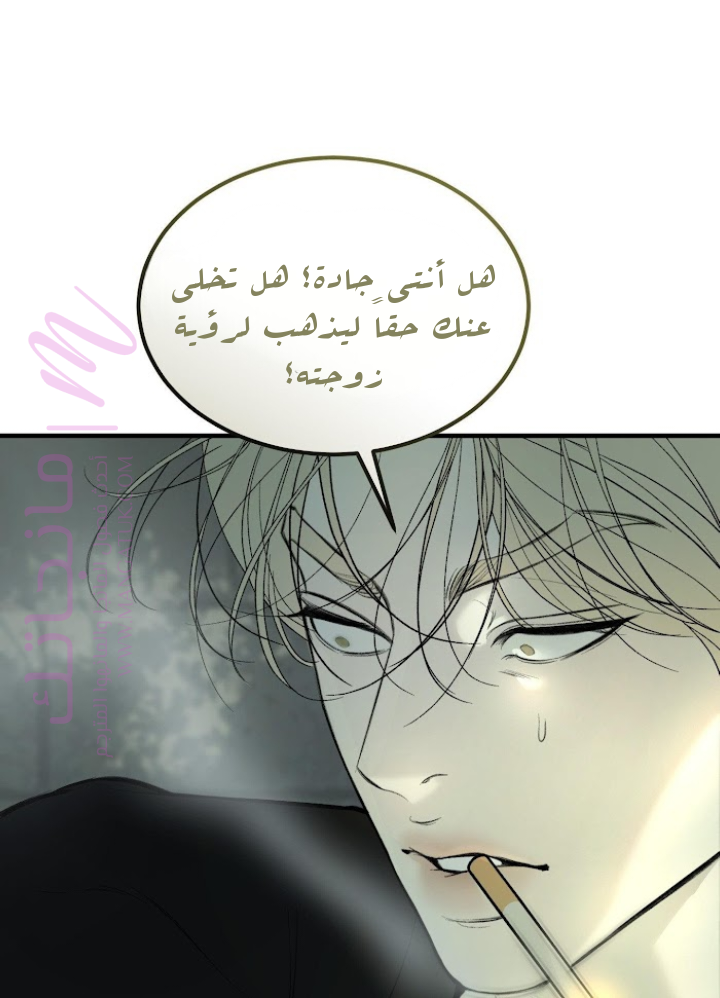 الصفحة 27