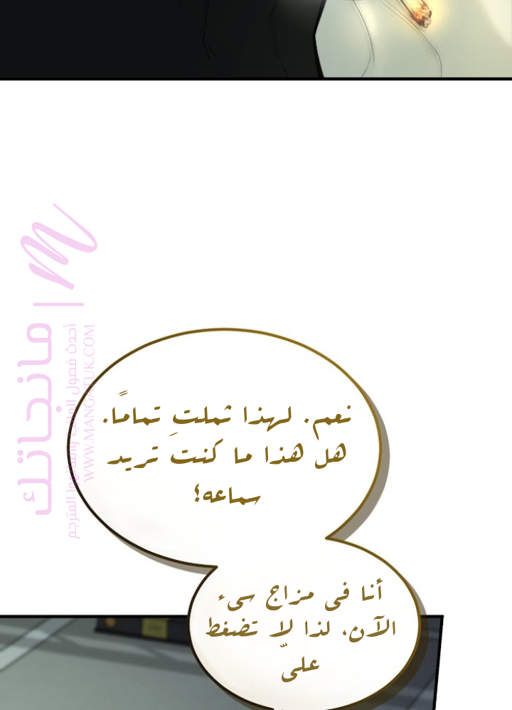 الصفحة 28