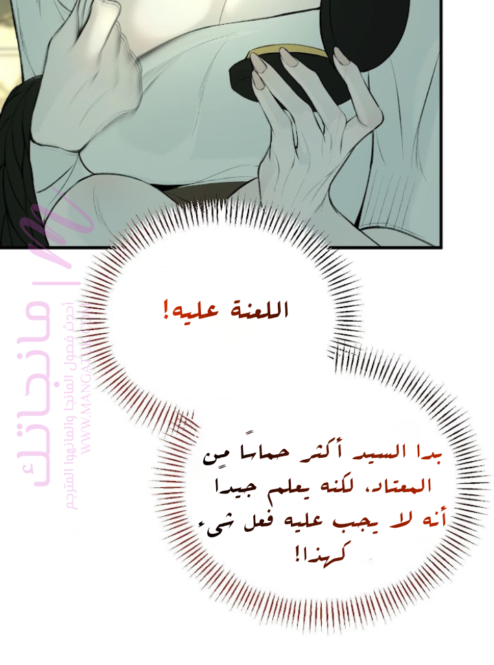 الصفحة 35