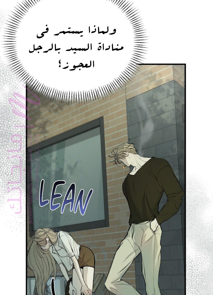 الصفحة 38
