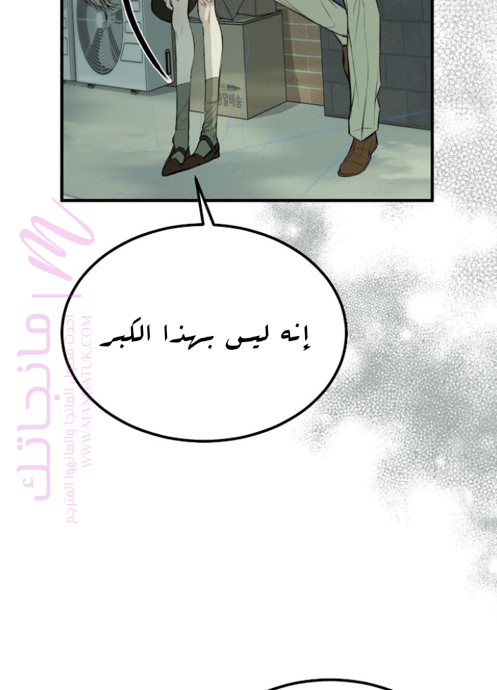 الصفحة 39