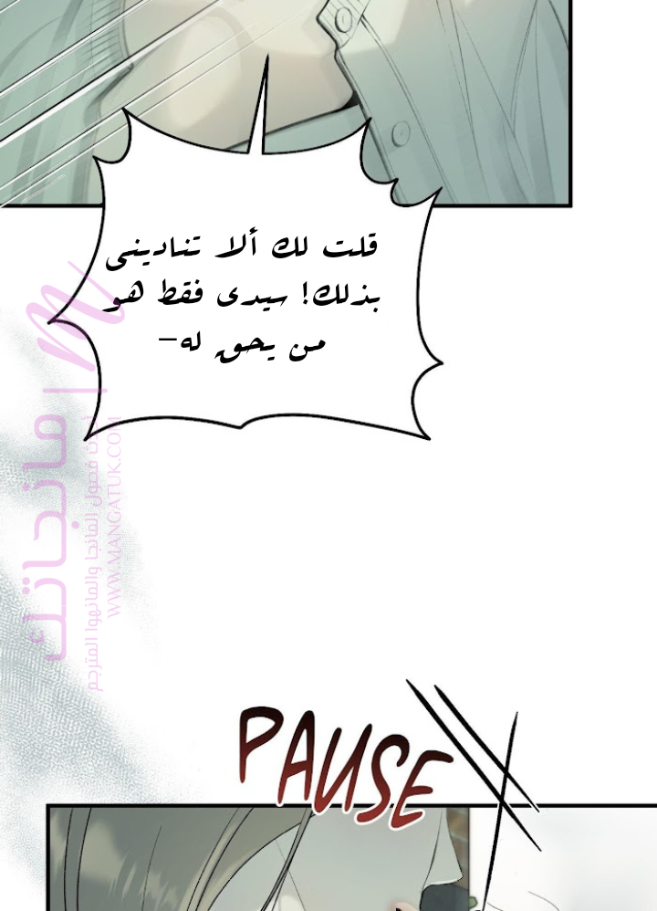 الصفحة 41