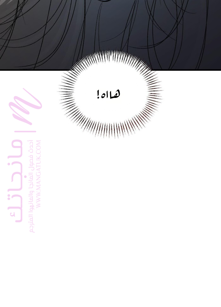 الصفحة 66