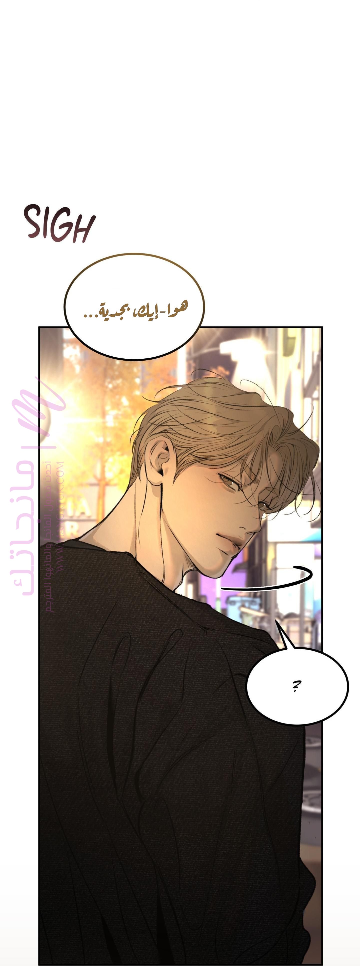 الصفحة 25
