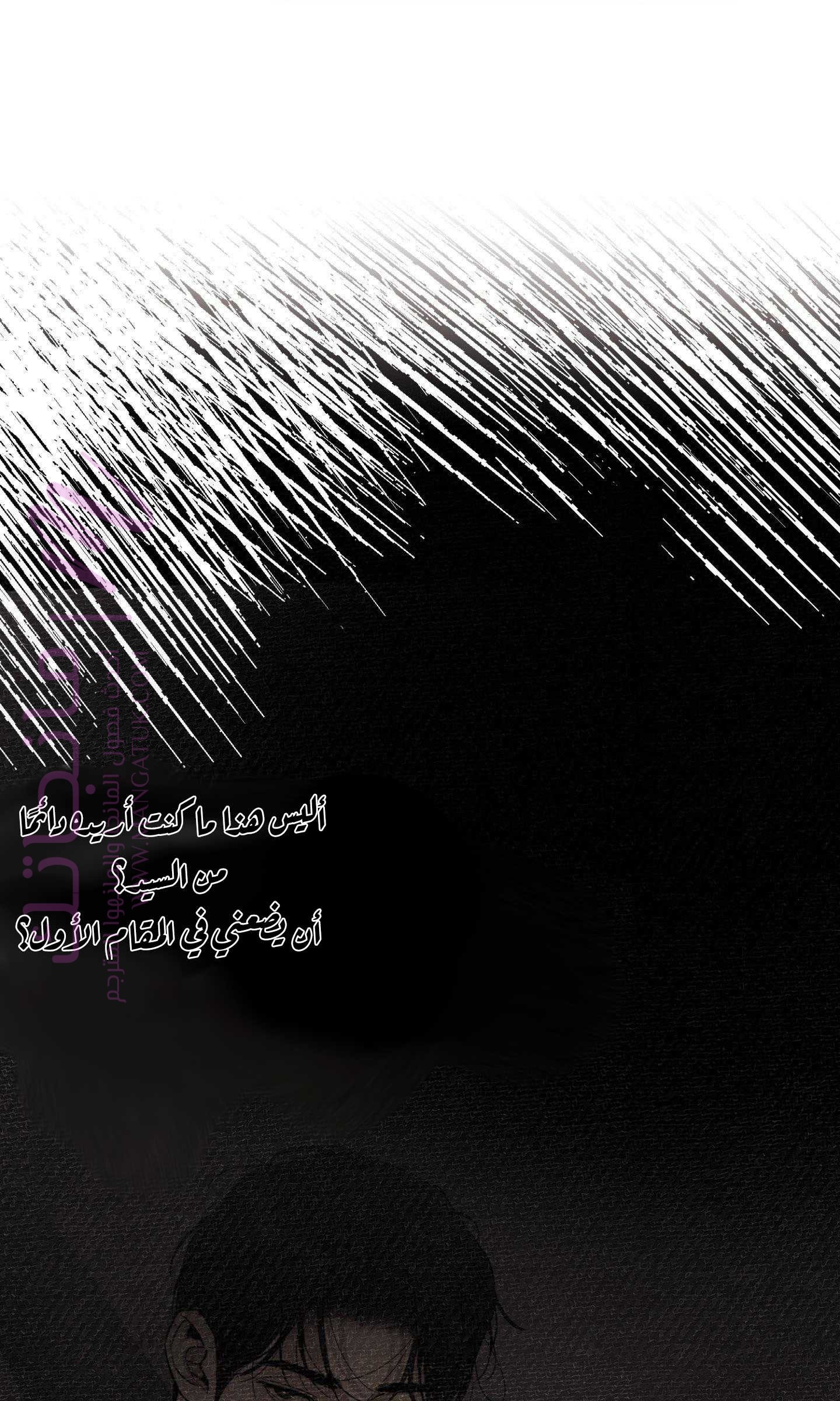 الصفحة 31