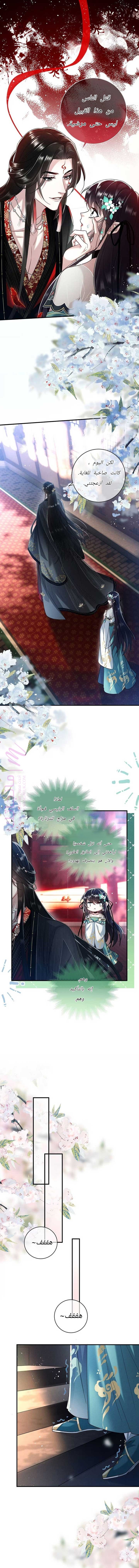 الصفحة 2