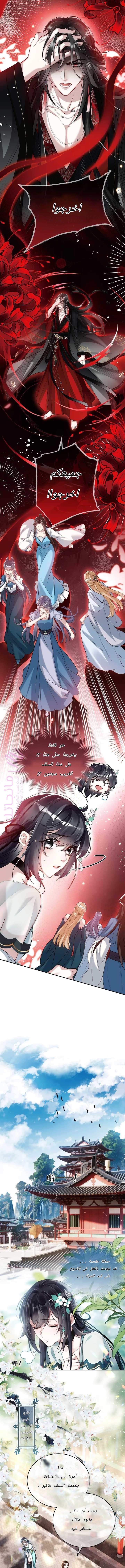 الصفحة 2