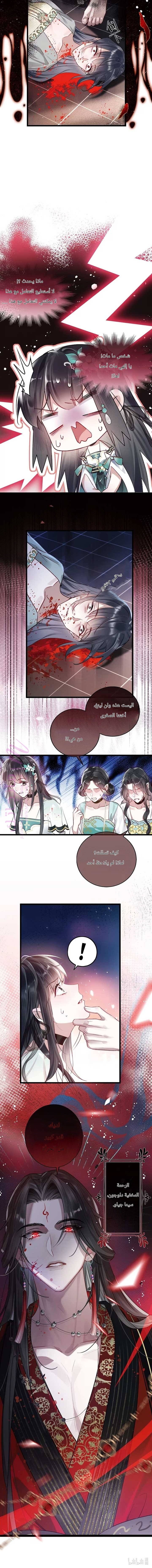 الصفحة 7