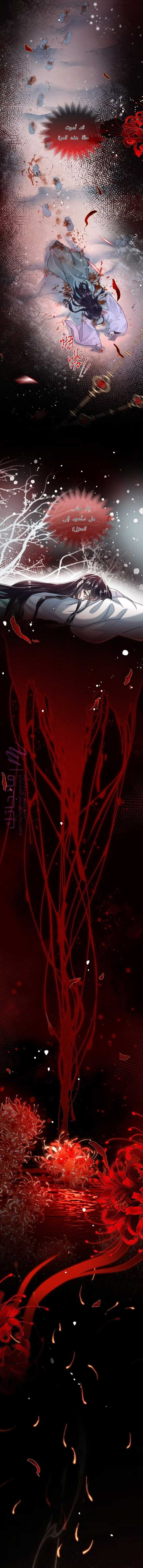 الصفحة 2