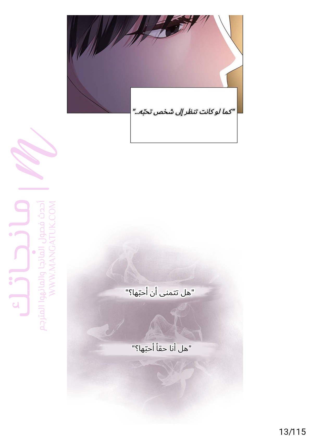 الصفحة 13
