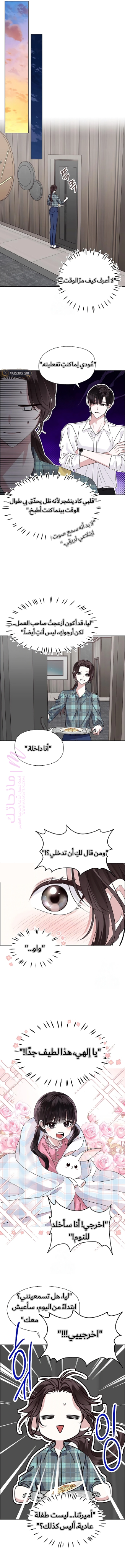 الصفحة 3
