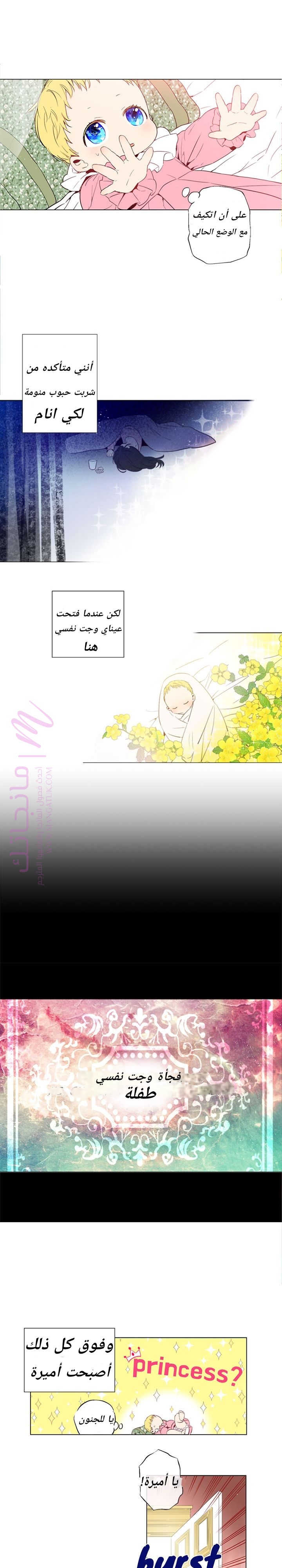 الصفحة 8