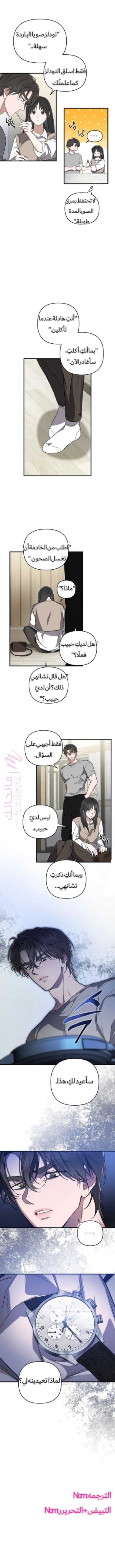 الصفحة 11