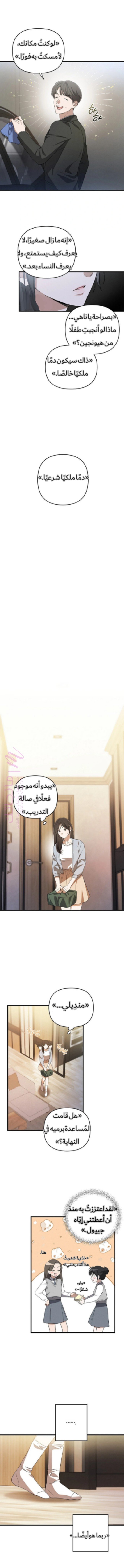 الصفحة 5