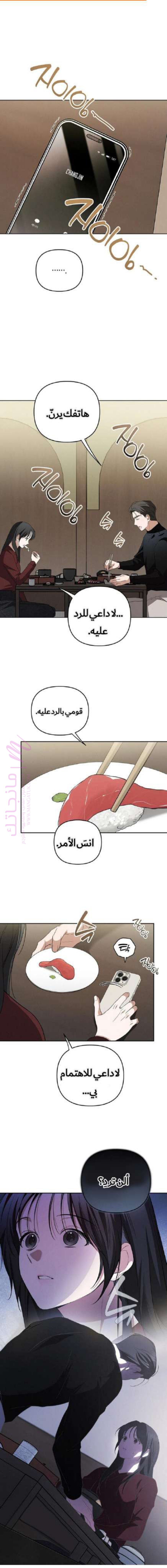الصفحة 12