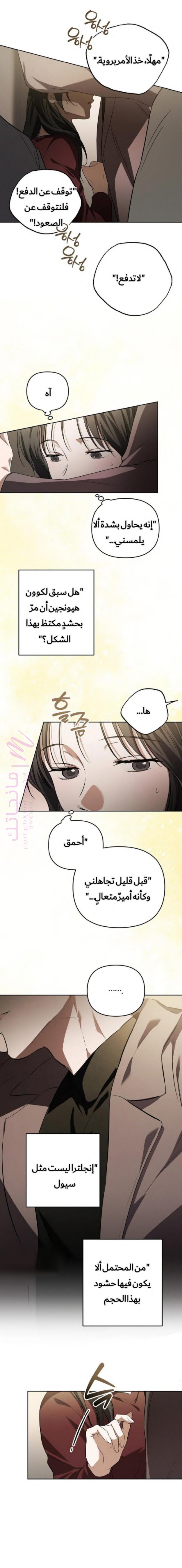 الصفحة 13