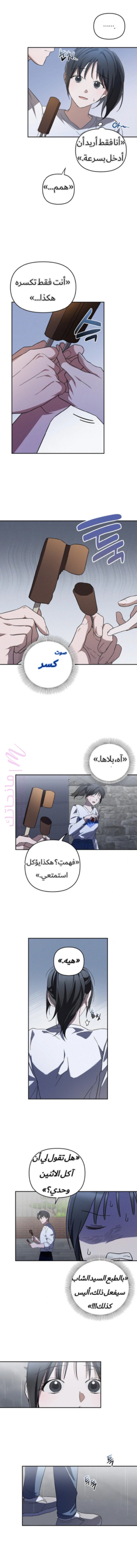 الصفحة 3