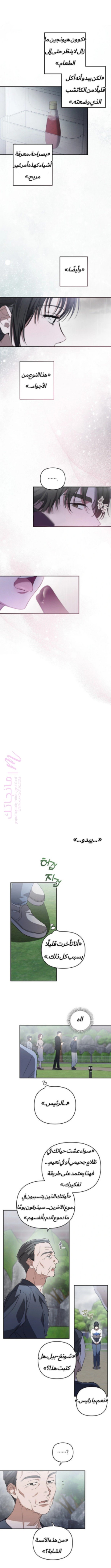 الصفحة 6