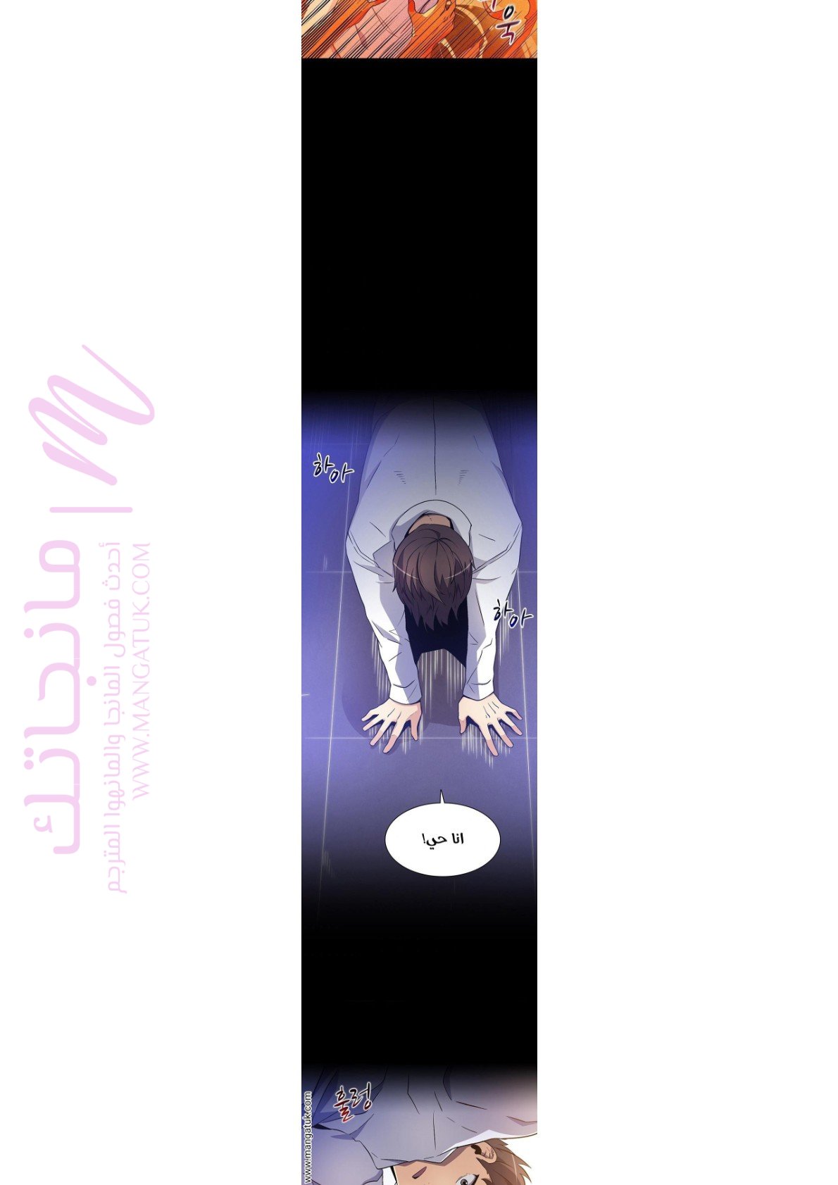 الصفحة 12