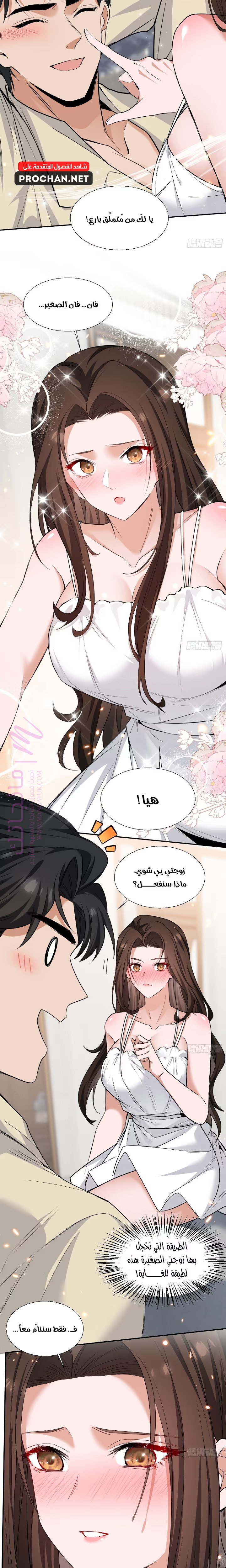 الصفحة 3