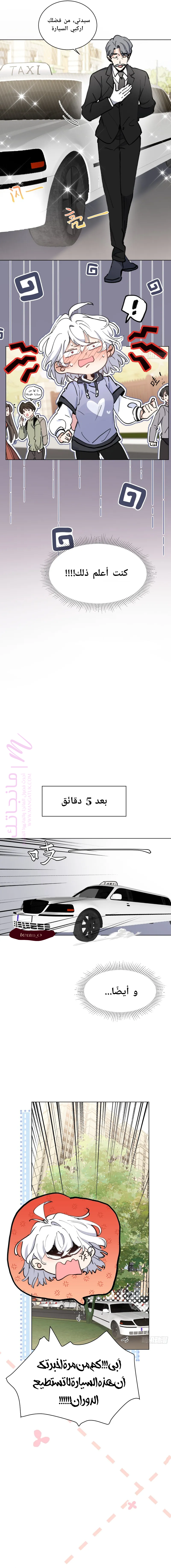 الصفحة 11