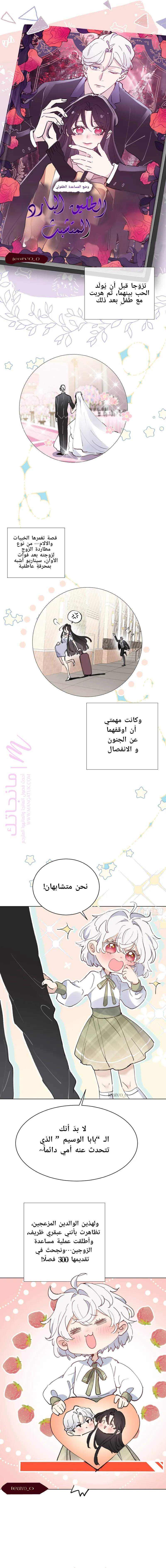 الصفحة 7