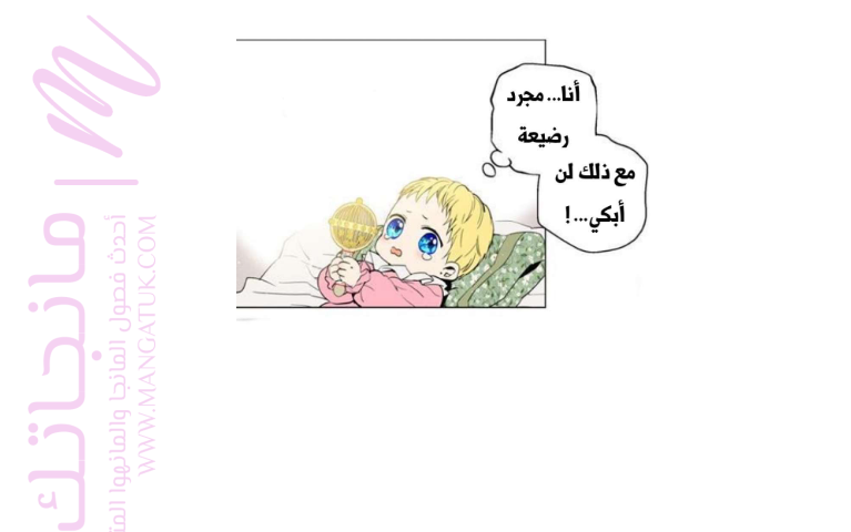الصفحة 24