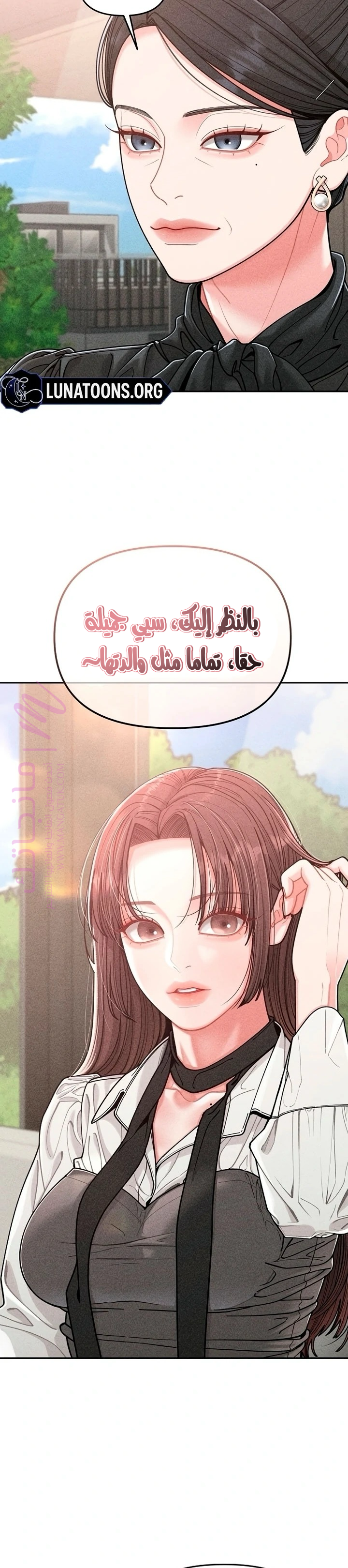 الصفحة 17