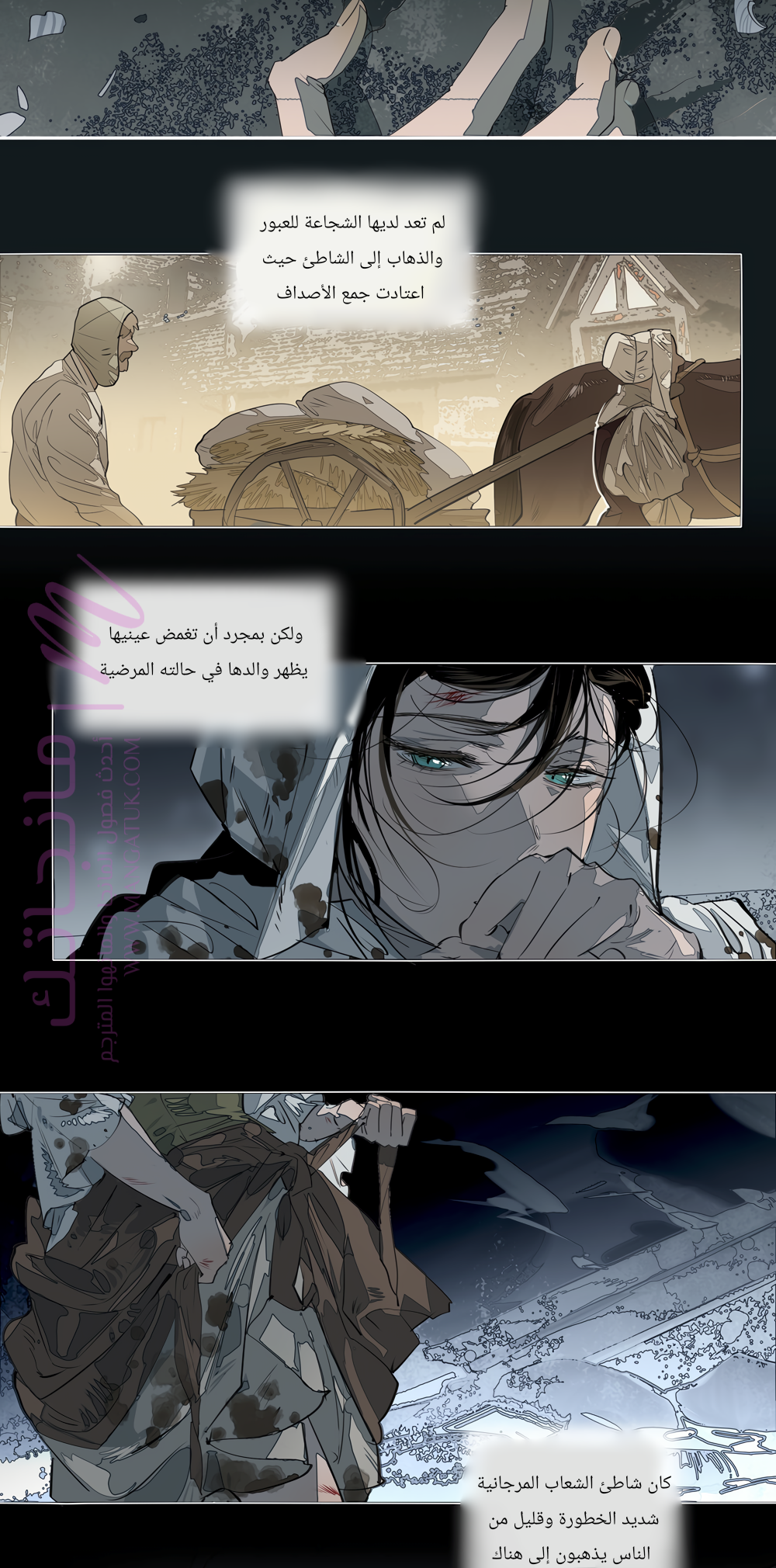 الصفحة 17