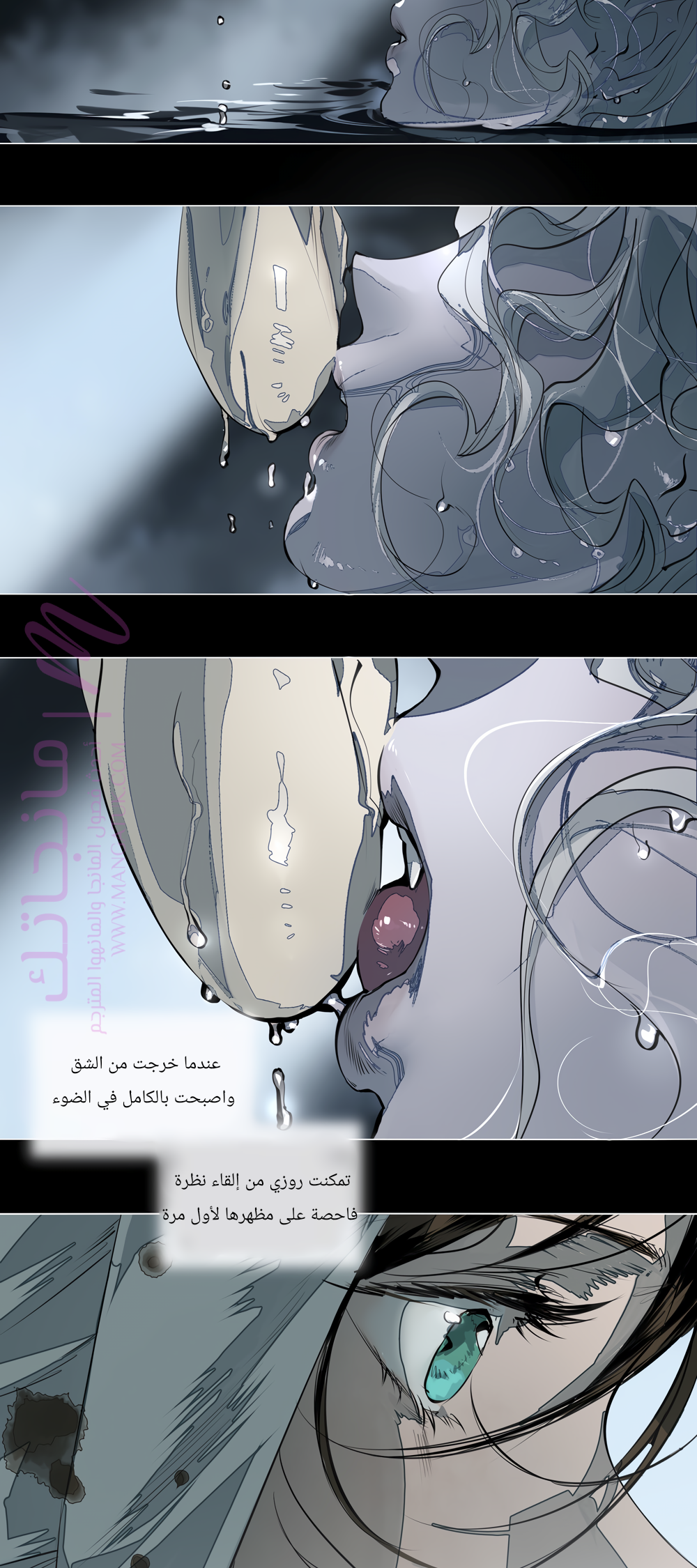 الصفحة 27