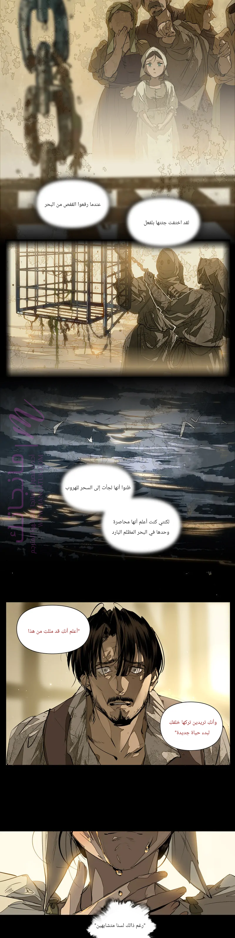 الصفحة 11