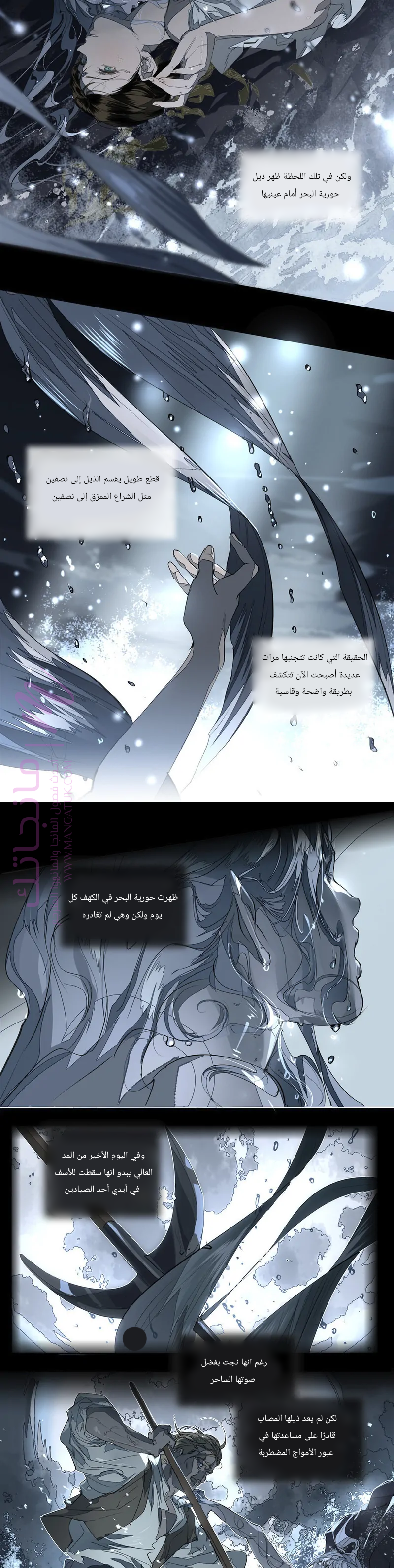 الصفحة 17