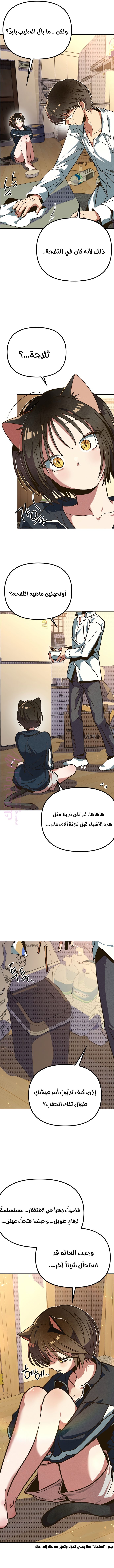 الصفحة 16