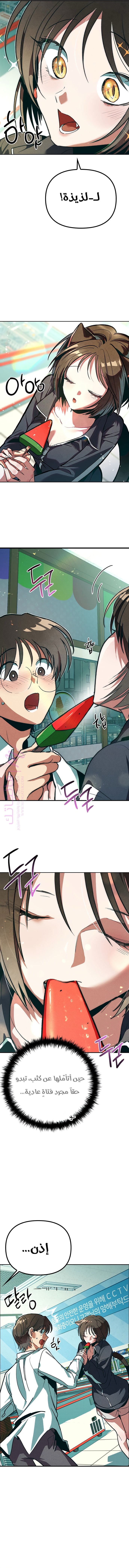 الصفحة 24