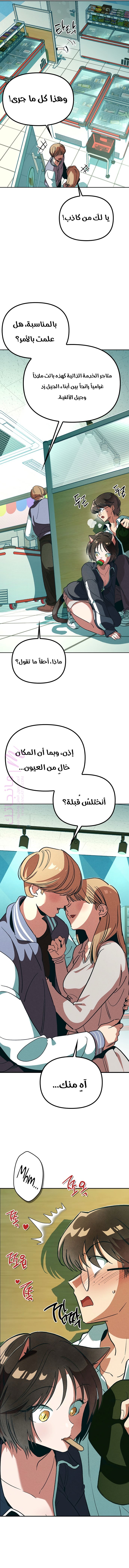 الصفحة 25