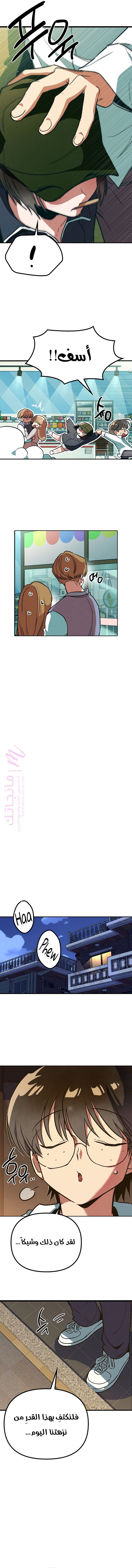 الصفحة 26